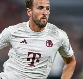 怀特则被视 怀特则被视