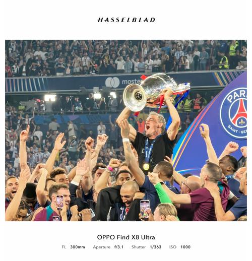 的并非热度 的并非热度